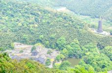 天童国家森林公园-宁波-doris圈圈