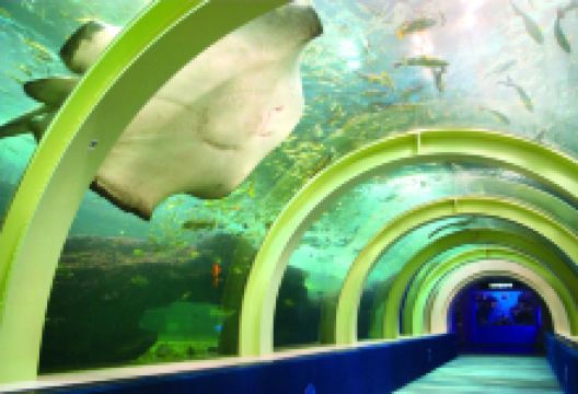 浅虫水族馆景点图片