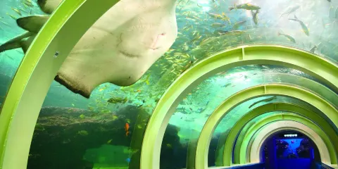 淺蟲水族館