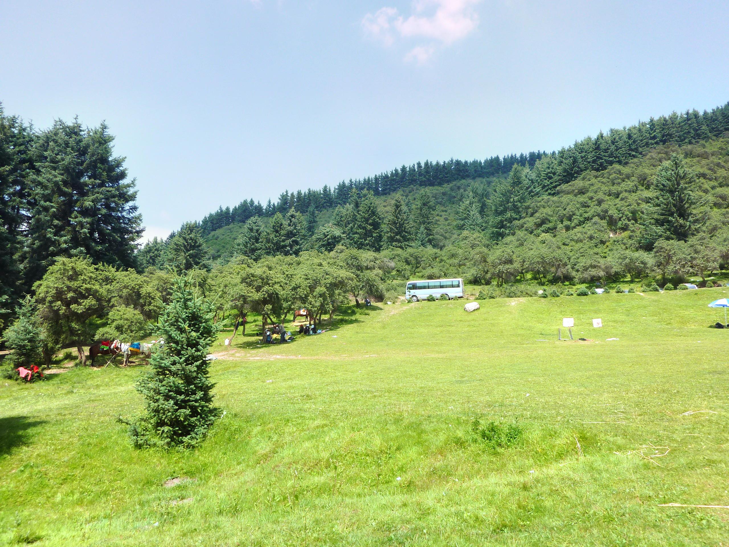鹞子沟国家森林公园