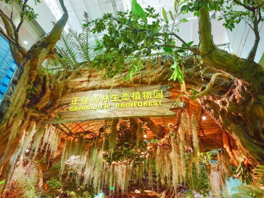 正佳雨林生态植物园