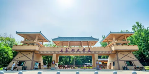 太子山王莽洞景區