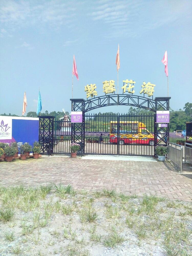 紫馨花海