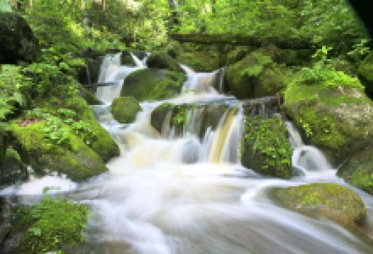 汪清兰家大峡谷国家森林公园景点图片