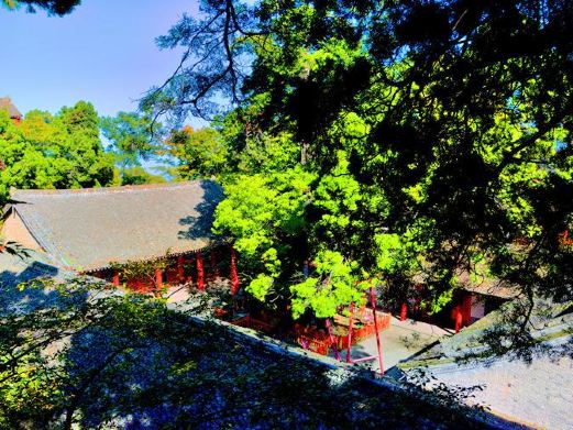 潜龙寺