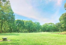 21堺市旅游攻略 7月堺市 Sakai 界市 自助游 自驾 出游 自由行 游玩攻略 携程攻略 21堺市旅游攻略 7月堺市 Sakai 界市 自助游 自驾 出游 自由行 游玩攻略 携程攻略