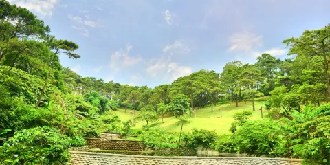 越南波圍國家公園