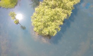 入夏耍成都 | 寻觅一段自由自在的时光，沉浸在温江