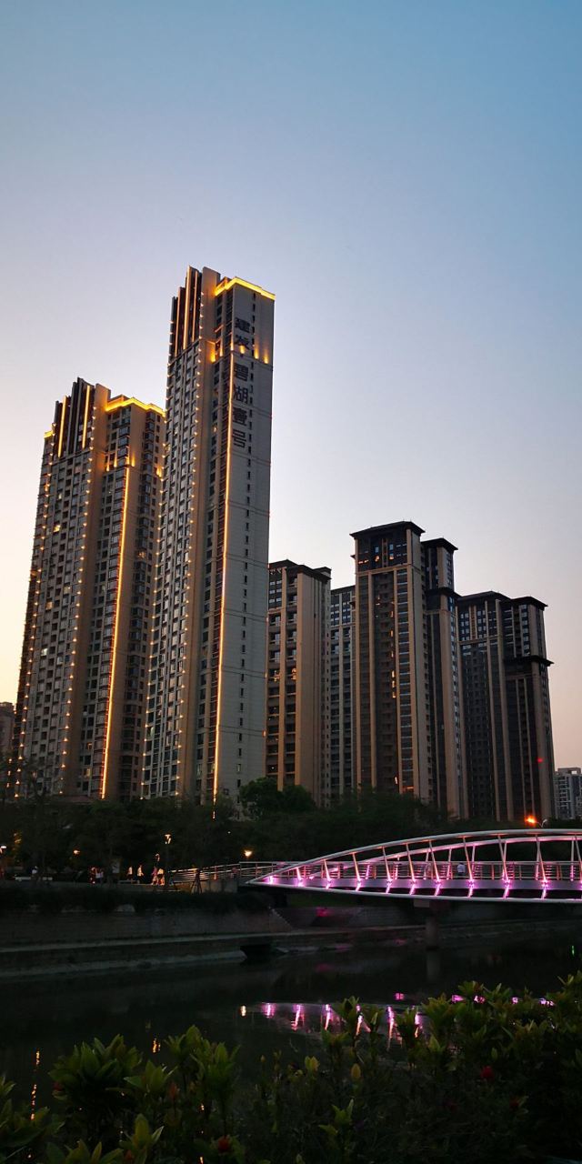 碧湖生态公园旅行图片 7