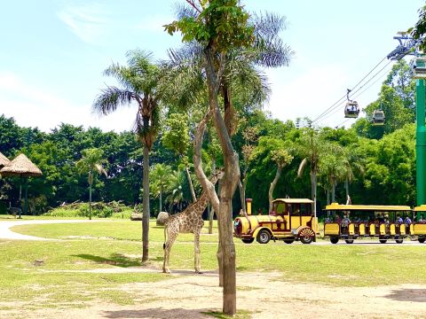 �㽭Ұ������԰