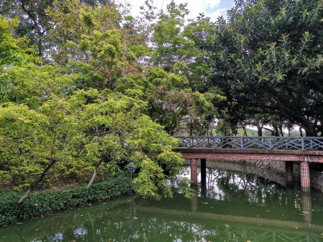 北滘公园旅行图片 4