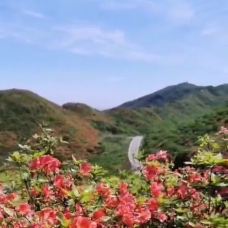 大围山国家森林公园-浏阳-gz伊妹儿