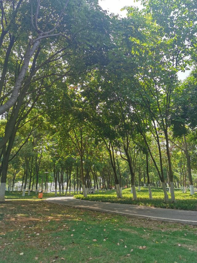 后襄河公园旅行图片 4