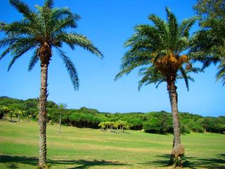 台湾旅游：东西海岸行风光无限（图）
