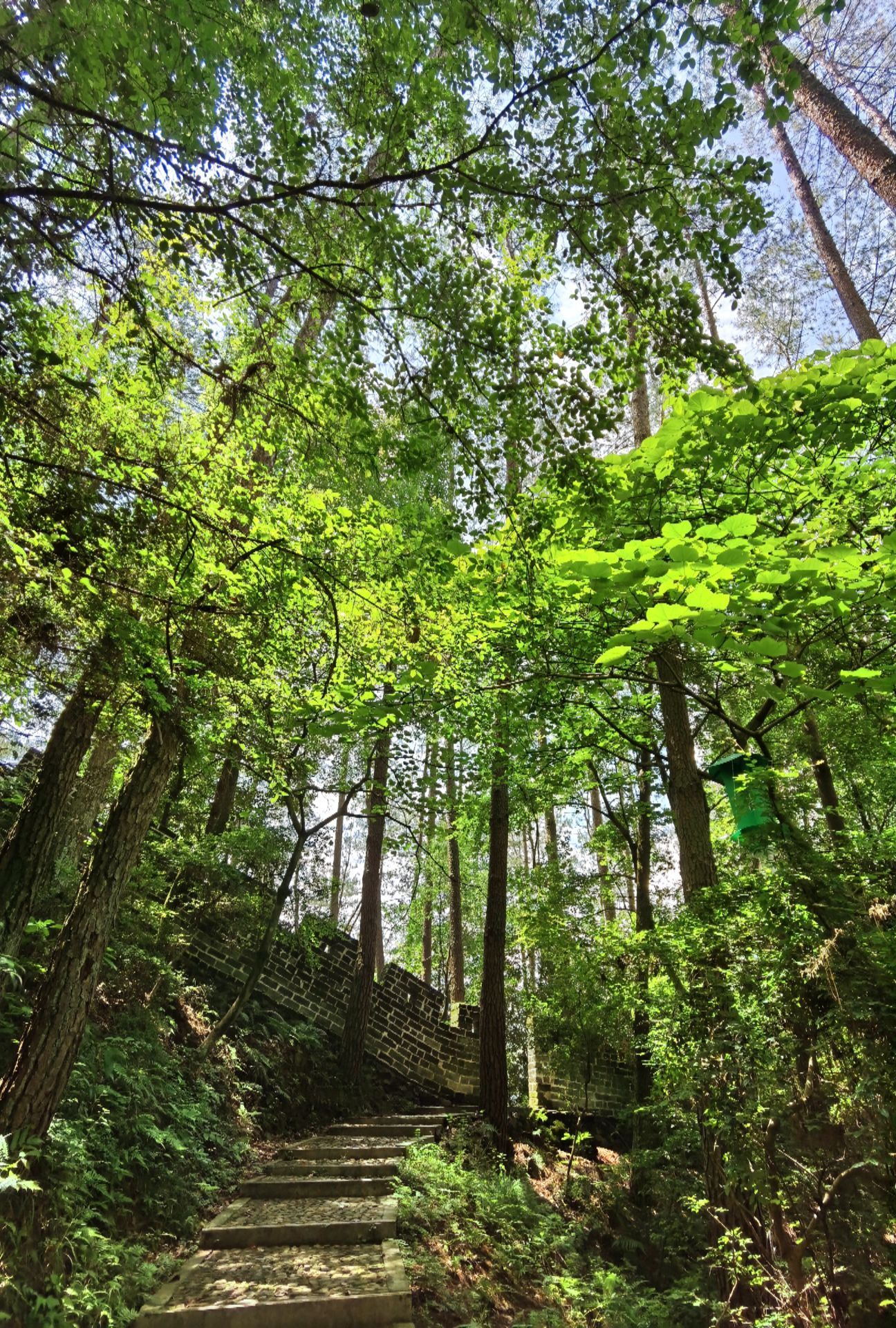 龙岩卧龙山