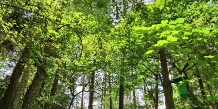 汀州古城-卧龍山