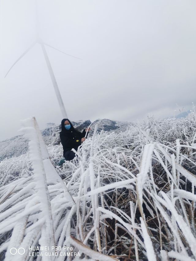屏山悬索玻璃桥旅行图片 5