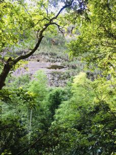 寨下大峡谷-泰宁-塞纳-马恩省吕蒙
