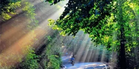 湖北天堂寨-涼亭