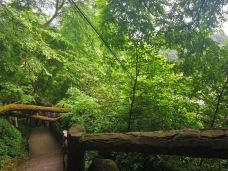 綦江古剑山风景区-重庆-噼里啪啦