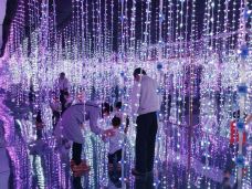 贝壳王国-秦皇岛