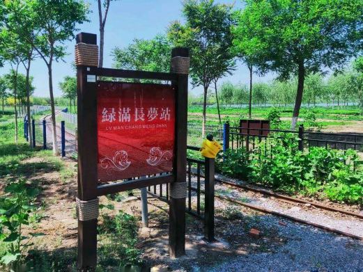 西青郊野公园