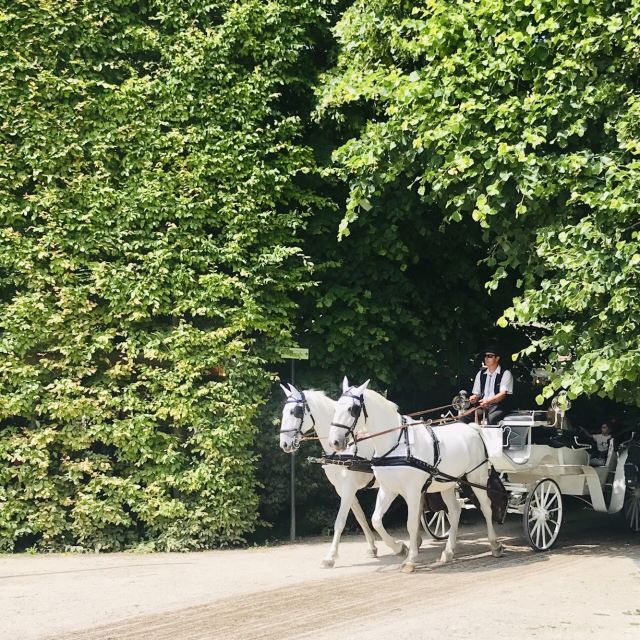 Schonbrunn Palace