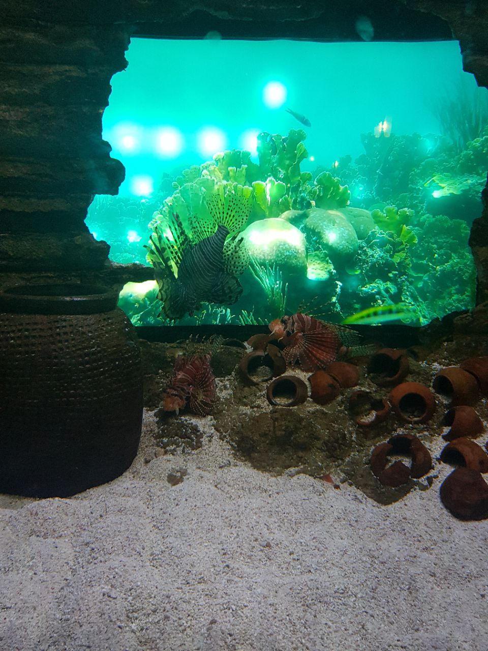 Aquaria Klcc Travel Guidebook Must Visit Attractions In Kuala