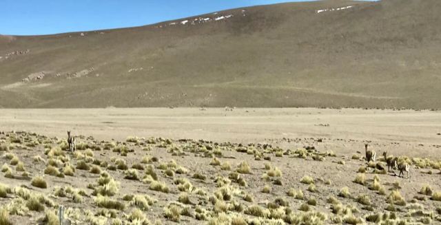 Valle de la Muerte