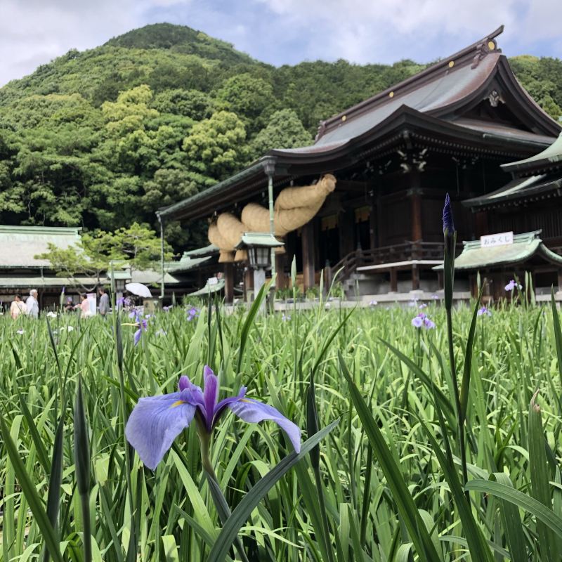 福津宮地嶽神社評判 案内 トリップドットコム