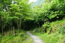 仙寓山景区-石台-海阔天空