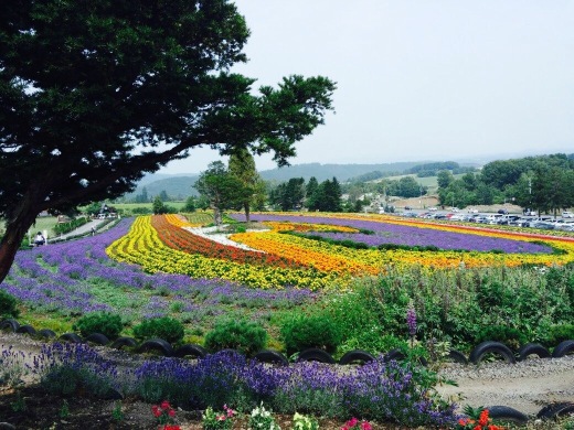 Zerubunoka餐厅图片