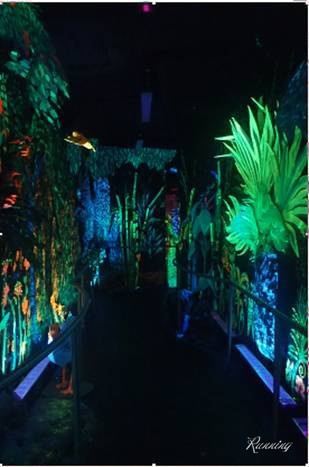 Bishop Museum