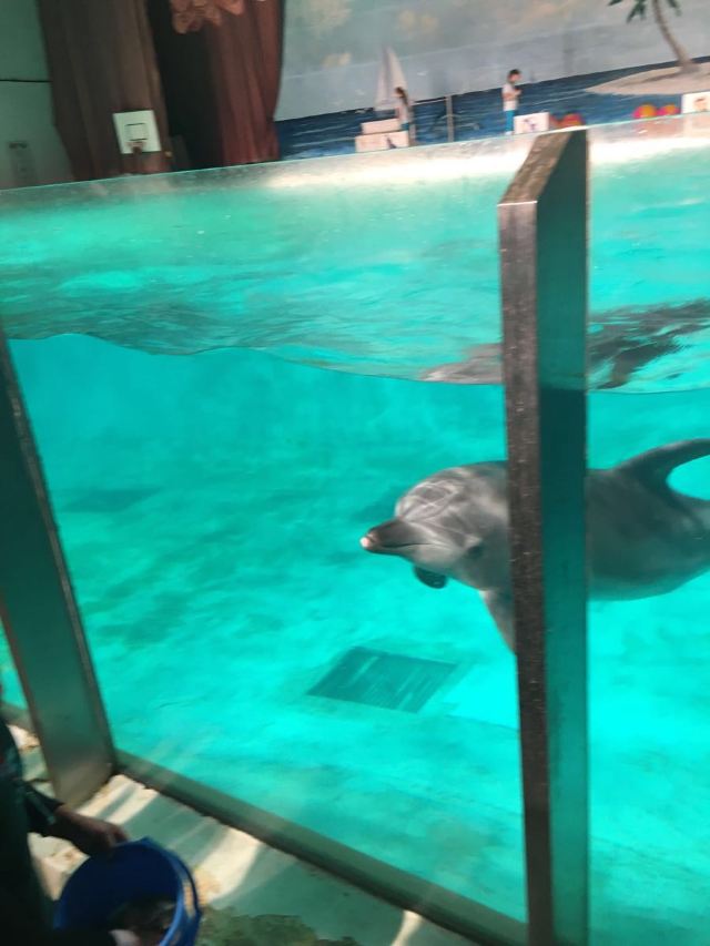 Marine Park