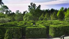 范度森植物园-温哥华-doris圈圈