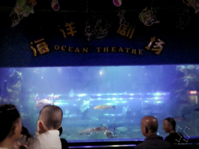 Qujiang Polar Ocean Park