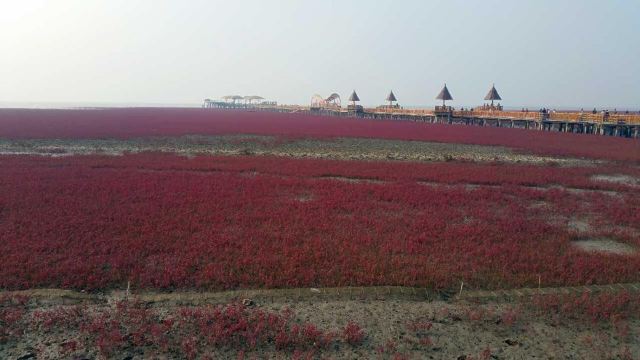 紅海灘國家風景廊道