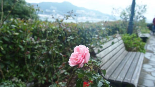 구라바엔