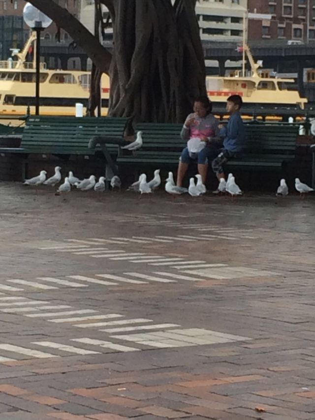 Sydney Opera House