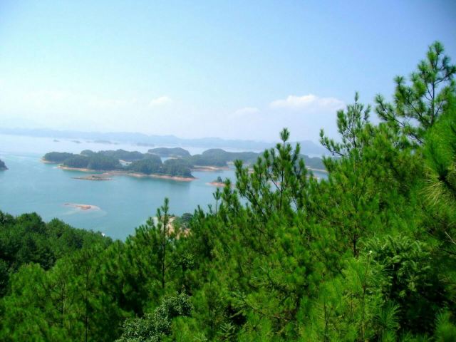 메이펑다오