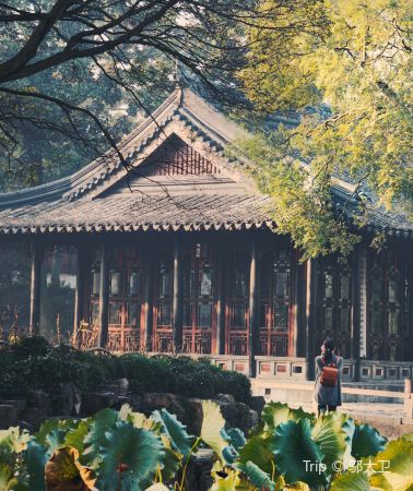 4D3N • Shanghai + Suzhou + Hangzhou + Wuzhen: vegetarian meal available on request