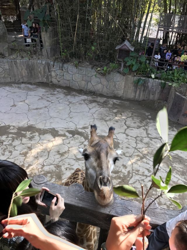 Chuanlord Tourism & Leisure Expo Garden