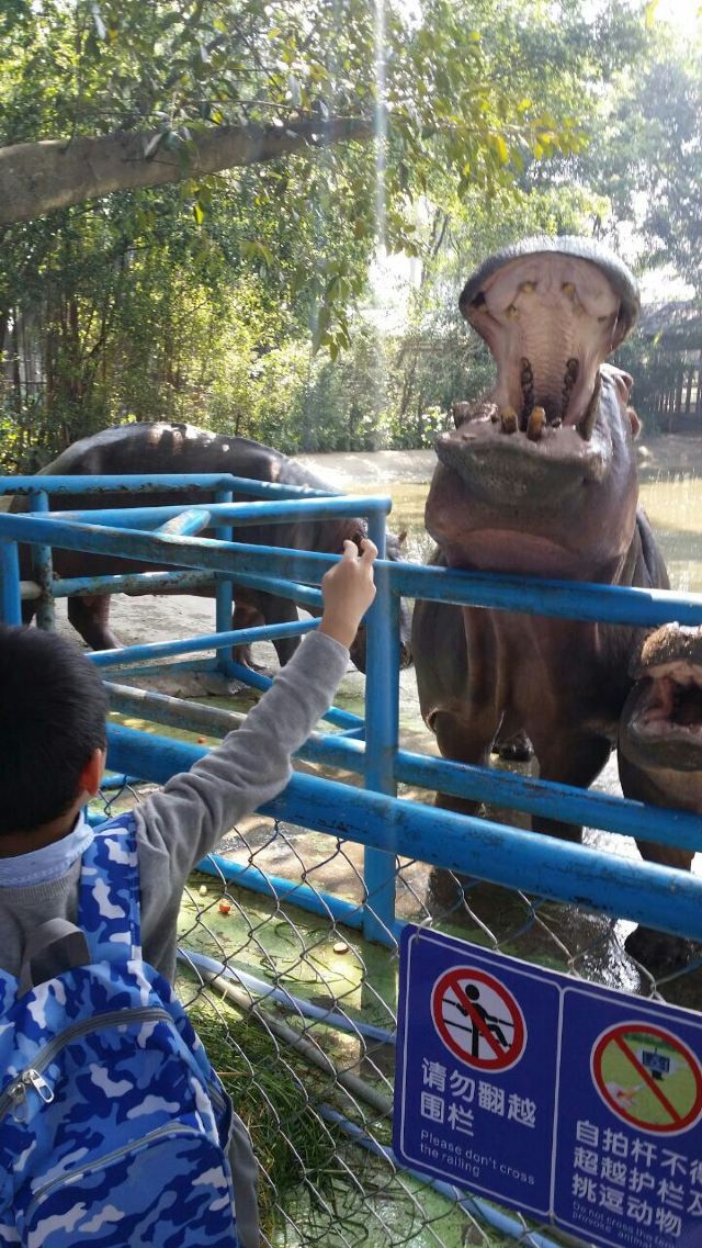 Chimelong Bird Park
