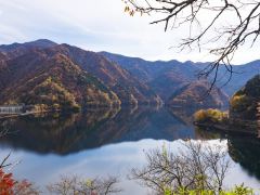 平户+甲贺+小田原等多地8日游