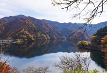 龟冈市旅游图片-平户+甲贺+小田原等多地8日游