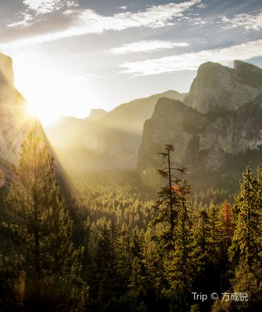 2D1N • Yosemite National Park + Kings Canyon National Park from Los Angeles