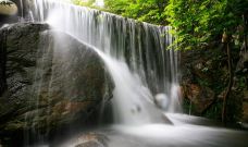 雁南飞茶田景区-桥溪古韵-梅州-懟懟