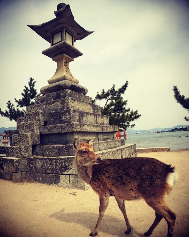 Itsukushima Shrine
