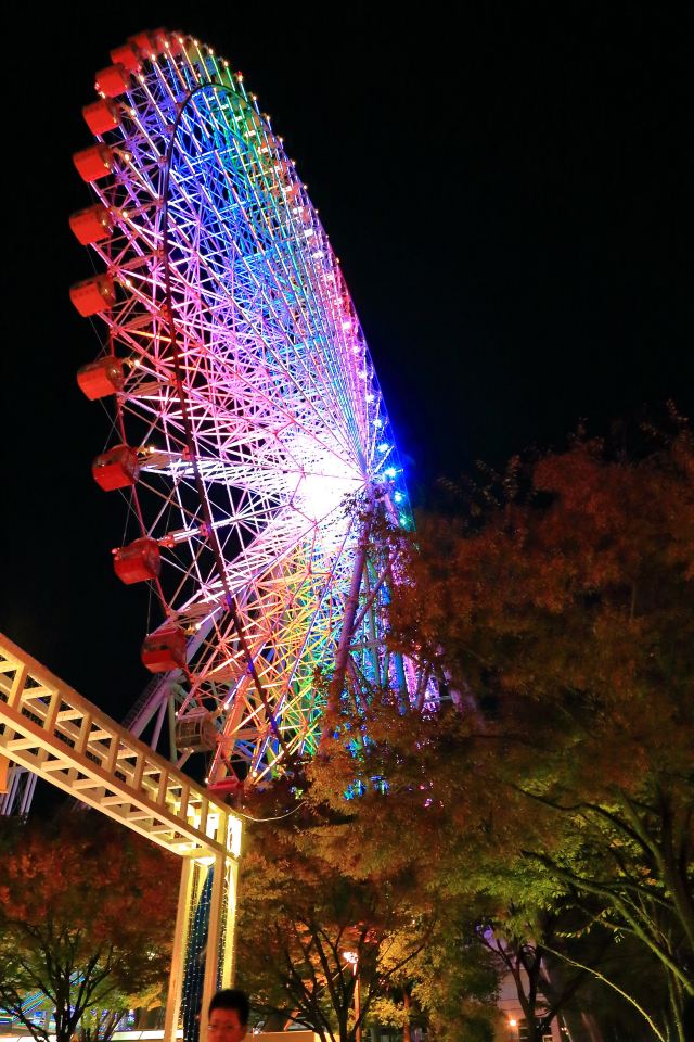 Tempozan Giant Ferris Wheel