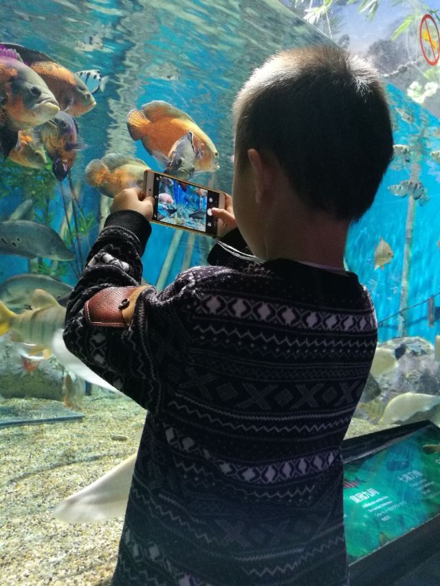 Grandview Aquarium